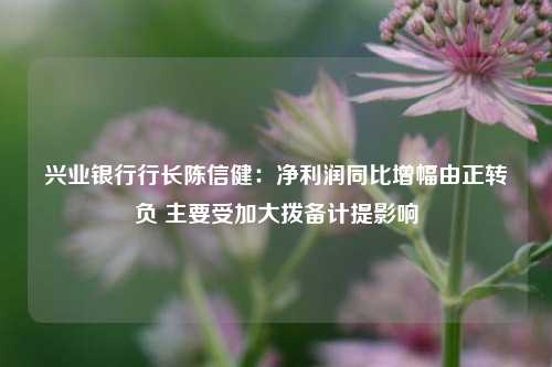 兴业银行行长陈信健：净利润同比增幅由正转负 主要受加大拨备计提影响-第1张图片-世界财经