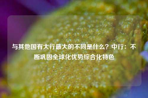 与其他国有大行最大的不同是什么？中行：不断巩固全球化优势综合化特色-第1张图片-世界财经