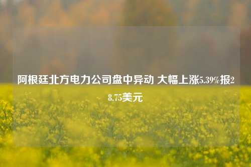 阿根廷北方电力公司盘中异动 大幅上涨5.39%报28.75美元-第1张图片-世界财经