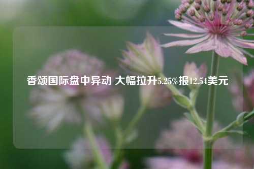 香颂国际盘中异动 大幅拉升5.25%报12.54美元-第1张图片-世界财经