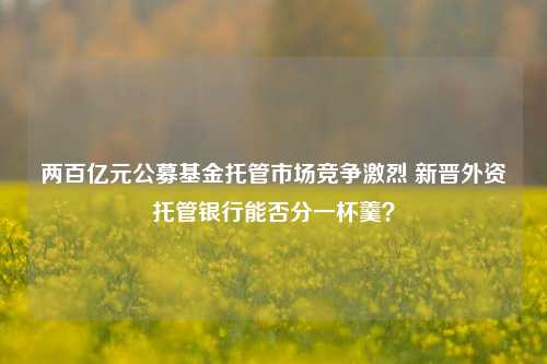 两百亿元公募基金托管市场竞争激烈 新晋外资托管银行能否分一杯羹？-第1张图片-世界财经