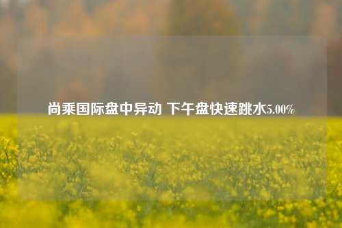 尚乘国际盘中异动 下午盘快速跳水5.00%-第1张图片-世界财经