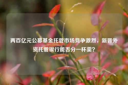 两百亿元公募基金托管市场竞争激烈，新晋外资托管银行能否分一杯羹？-第1张图片-世界财经