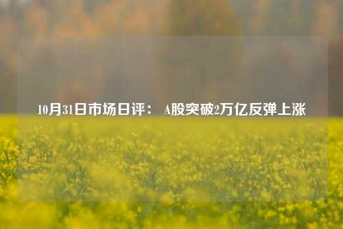 10月31日市场日评： A股突破2万亿反弹上涨-第1张图片-世界财经