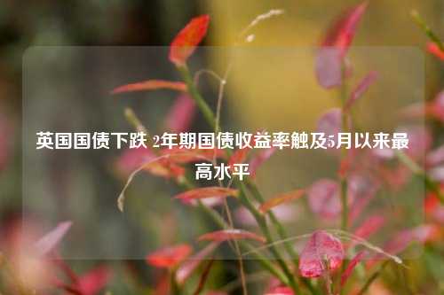 英国国债下跌 2年期国债收益率触及5月以来最高水平-第1张图片-世界财经