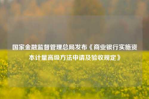 国家金融监督管理总局发布《商业银行实施资本计量高级方法申请及验收规定》-第1张图片-世界财经