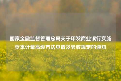 国家金融监督管理总局关于印发商业银行实施资本计量高级方法申请及验收规定的通知-第1张图片-世界财经