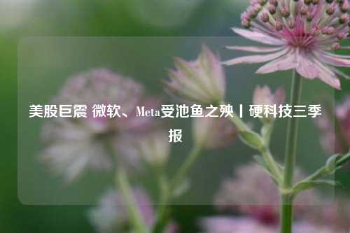 美股巨震 微软、Meta受池鱼之殃丨硬科技三季报-第1张图片-世界财经