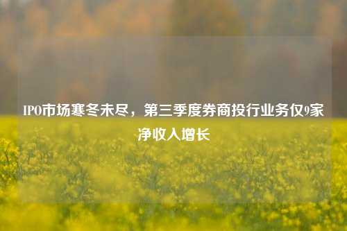 IPO市场寒冬未尽，第三季度券商投行业务仅9家净收入增长-第1张图片-世界财经