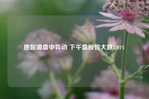 恩智浦盘中异动 下午盘股价大跌5.01%-第1张图片-世界财经