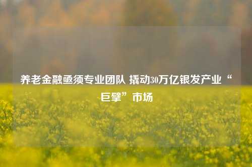 养老金融亟须专业团队 撬动30万亿银发产业“巨擘”市场-第1张图片-世界财经