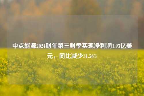 中点能源2024财年第三财季实现净利润1.93亿美元，同比减少31.56%-第1张图片-世界财经