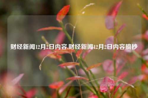 财经新闻12月2日内容,财经新闻12月2日内容摘抄-第1张图片-世界财经