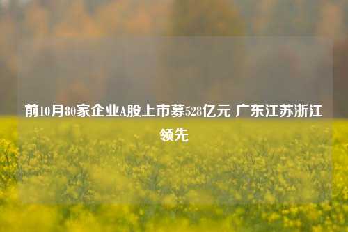 前10月80家企业A股上市募528亿元 广东江苏浙江领先-第1张图片-世界财经