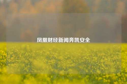 凤凰财经新闻奔凯安全-第1张图片-世界财经