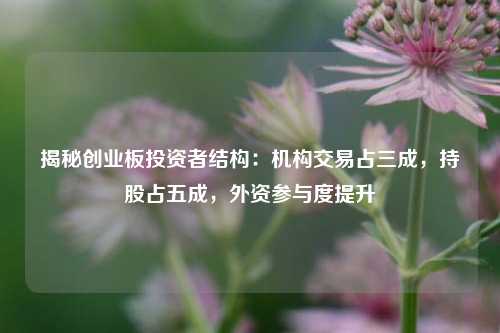 揭秘创业板投资者结构：机构交易占三成，持股占五成，外资参与度提升-第1张图片-世界财经