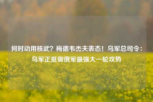 何时动用核武？梅德韦杰夫表态！乌军总司令：乌军正抵御俄军最强大一轮攻势-第1张图片-世界财经