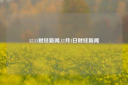 12.11财经新闻,12月1日财经新闻-第1张图片-世界财经