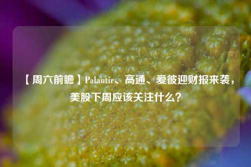 【周六前瞻】Palantir、高通、爱彼迎财报来袭，美股下周应该关注什么？-第1张图片-世界财经