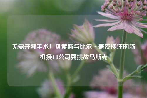 无需开颅手术！贝索斯与比尔·盖茨押注的脑机接口公司要挑战马斯克-第1张图片-世界财经