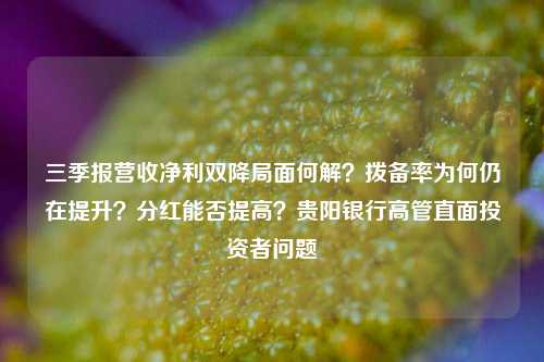 三季报营收净利双降局面何解？拨备率为何仍在提升？分红能否提高？贵阳银行高管直面投资者问题-第1张图片-世界财经