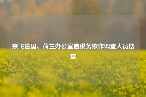 奈飞法国、荷兰办公室遭税务欺诈调查人员搜查-第1张图片-世界财经