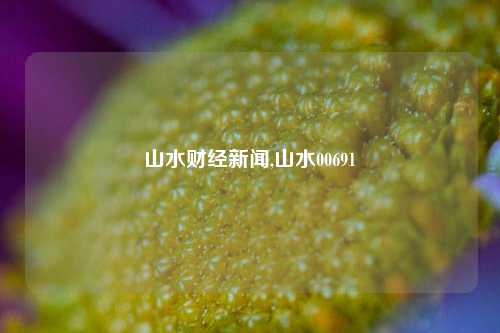 山水财经新闻,山水00691-第1张图片-世界财经