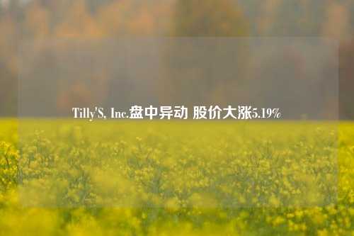 Tilly'S, Inc.盘中异动 股价大涨5.19%-第1张图片-世界财经