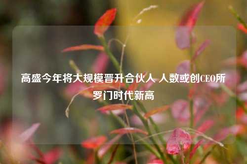 高盛今年将大规模晋升合伙人 人数或创CEO所罗门时代新高-第1张图片-世界财经