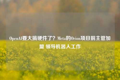 OpenAI要大搞硬件了？Meta的Orion项目前主管加盟 领导机器人工作-第1张图片-世界财经