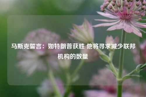 马斯克誓言：如特朗普获胜 他将寻求减少联邦机构的数量-第1张图片-世界财经