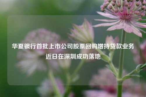 华夏银行首批上市公司股票回购增持贷款业务近日在深圳成功落地-第1张图片-世界财经