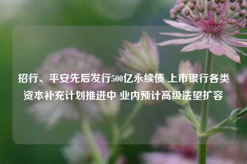 招行、平安先后发行500亿永续债 上市银行各类资本补充计划推进中 业内预计高级法望扩容-第1张图片-世界财经