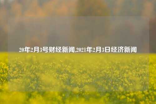 20年2月3号财经新闻,2021年2月3日经济新闻-第1张图片-世界财经