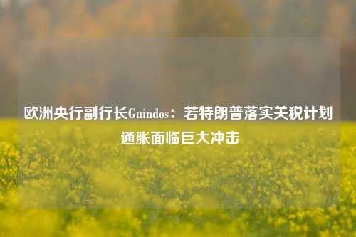 欧洲央行副行长Guindos：若特朗普落实关税计划 通胀面临巨大冲击-第1张图片-世界财经