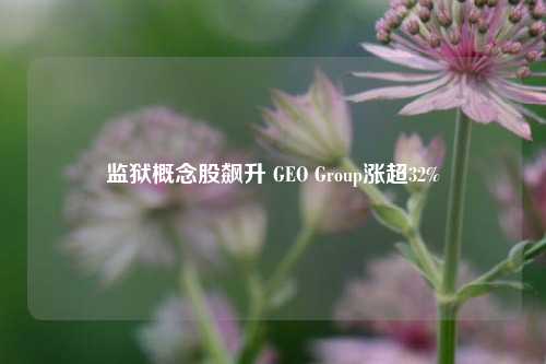 监狱概念股飙升 GEO Group涨超32%-第1张图片-世界财经