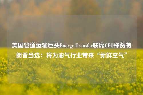 美国管道运输巨头Energy Transfer联席CEO称赞特朗普当选：将为油气行业带来“新鲜空气”-第1张图片-世界财经