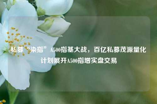 私募“染指”A500指基大战，百亿私募茂源量化计划展开A500指增实盘交易-第1张图片-世界财经