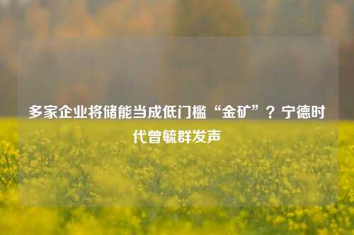 多家企业将储能当成低门槛“金矿”？宁德时代曾毓群发声-第1张图片-世界财经