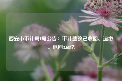 西安市审计局1号公告：审计整改已收回、追缴、退回3.68亿-第1张图片-世界财经