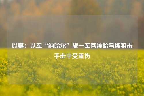 以媒：以军“纳哈尔”旅一军官被哈马斯狙击手击中受重伤-第1张图片-世界财经