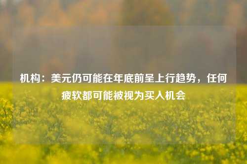 机构：美元仍可能在年底前呈上行趋势，任何疲软都可能被视为买入机会-第1张图片-世界财经