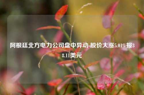 阿根廷北方电力公司盘中异动 股价大涨5.01%报38.11美元-第1张图片-世界财经