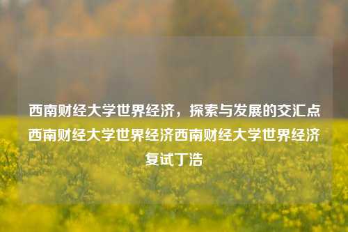 西南财经大学世界经济，探索与发展的交汇点西南财经大学世界经济西南财经大学世界经济复试丁浩-第1张图片-世界财经