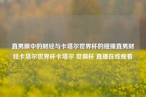 直男眼中的财经与卡塔尔世界杯的碰撞直男财经卡塔尔世界杯卡塔尔 世俱杯 直播在线观看-第1张图片-世界财经