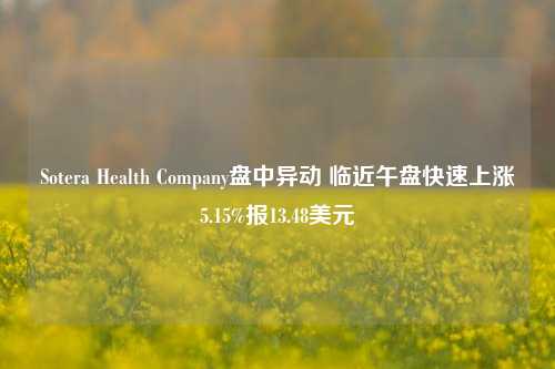 Sotera Health Company盘中异动 临近午盘快速上涨5.15%报13.48美元-第1张图片-世界财经