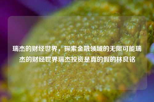 瑞杰的财经世界，探索金融领域的无限可能瑞杰的财经世界瑞杰投资是真的假的林良铭-第1张图片-世界财经