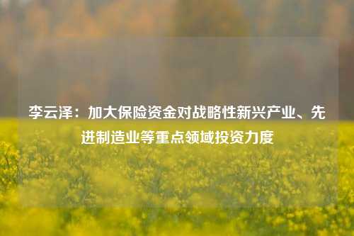 李云泽：加大保险资金对战略性新兴产业、先进制造业等重点领域投资力度-第1张图片-世界财经