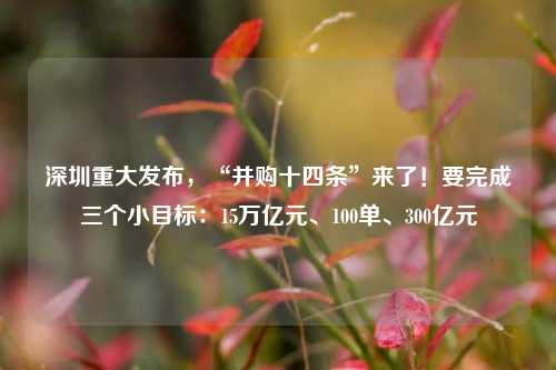 深圳重大发布，“并购十四条”来了！要完成三个小目标：15万亿元、100单、300亿元-第1张图片-世界财经