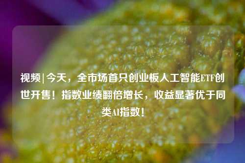 视频|今天，全市场首只创业板人工智能ETF创世开售！指数业绩翻倍增长，收益显著优于同类AI指数！-第1张图片-世界财经